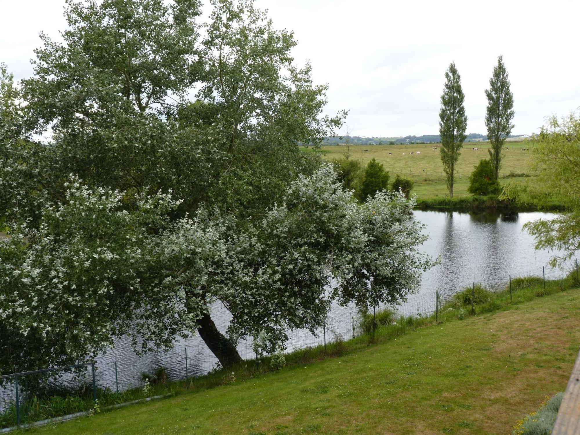 Gites De La Haie Plouegat-Moysan Экстерьер фото